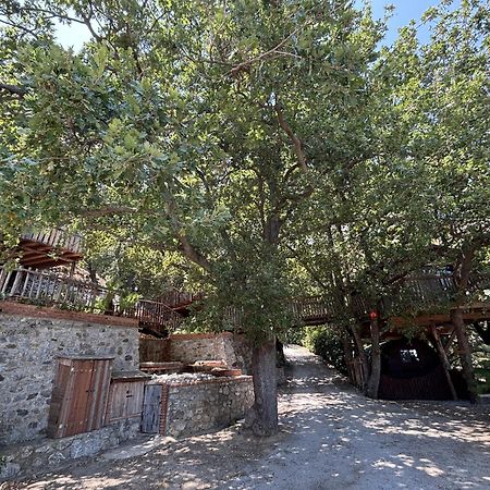 B & B Le Casette Sull'Albero Di Villa Alba Mesina Exterior foto