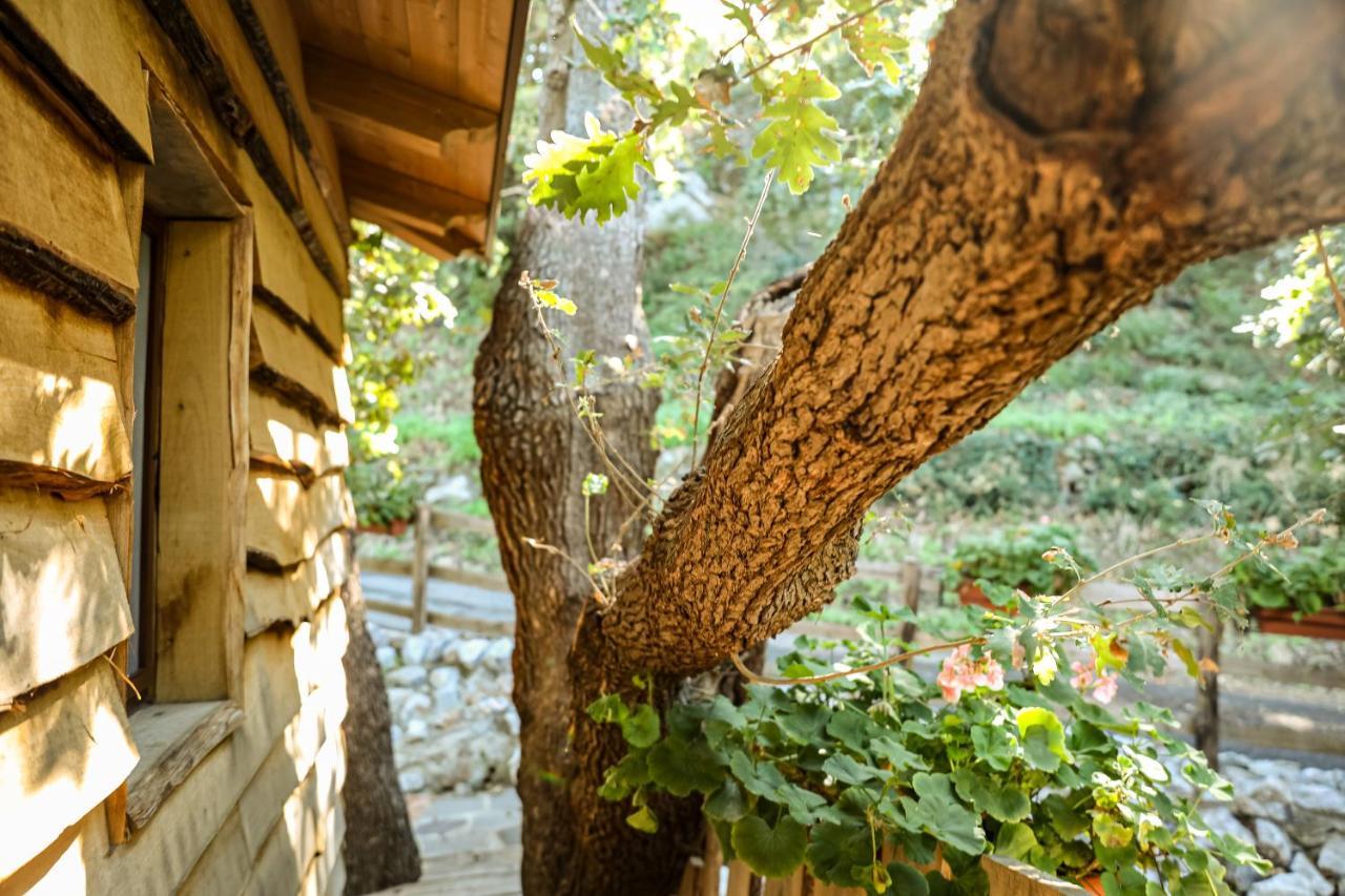 B & B Le Casette Sull'Albero Di Villa Alba Mesina Exterior foto