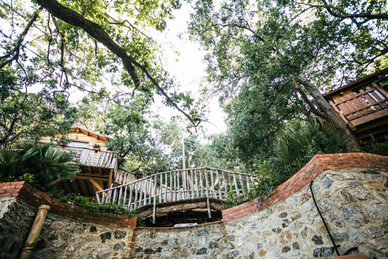 B & B Le Casette Sull'Albero Di Villa Alba Mesina Exterior foto