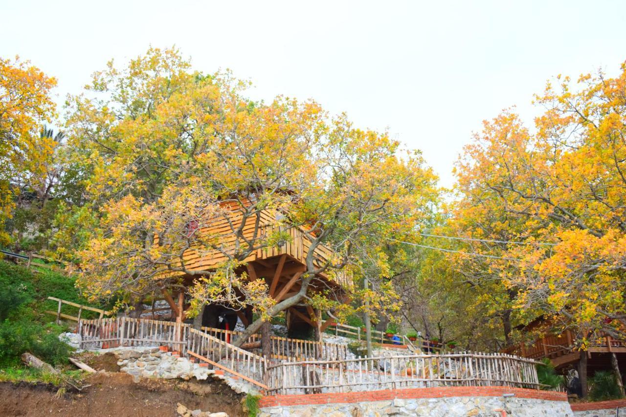 B & B Le Casette Sull'Albero Di Villa Alba Mesina Exterior foto