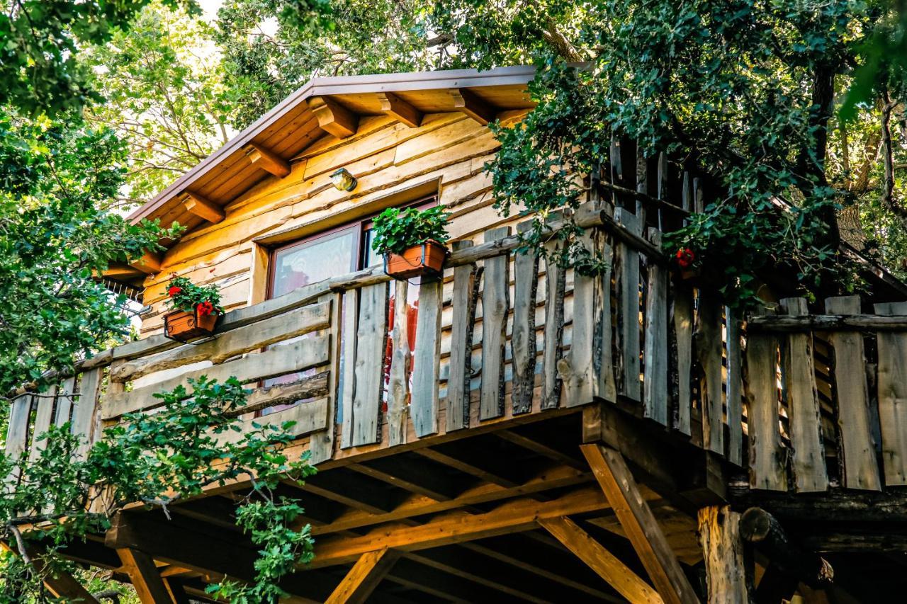 B & B Le Casette Sull'Albero Di Villa Alba Mesina Exterior foto