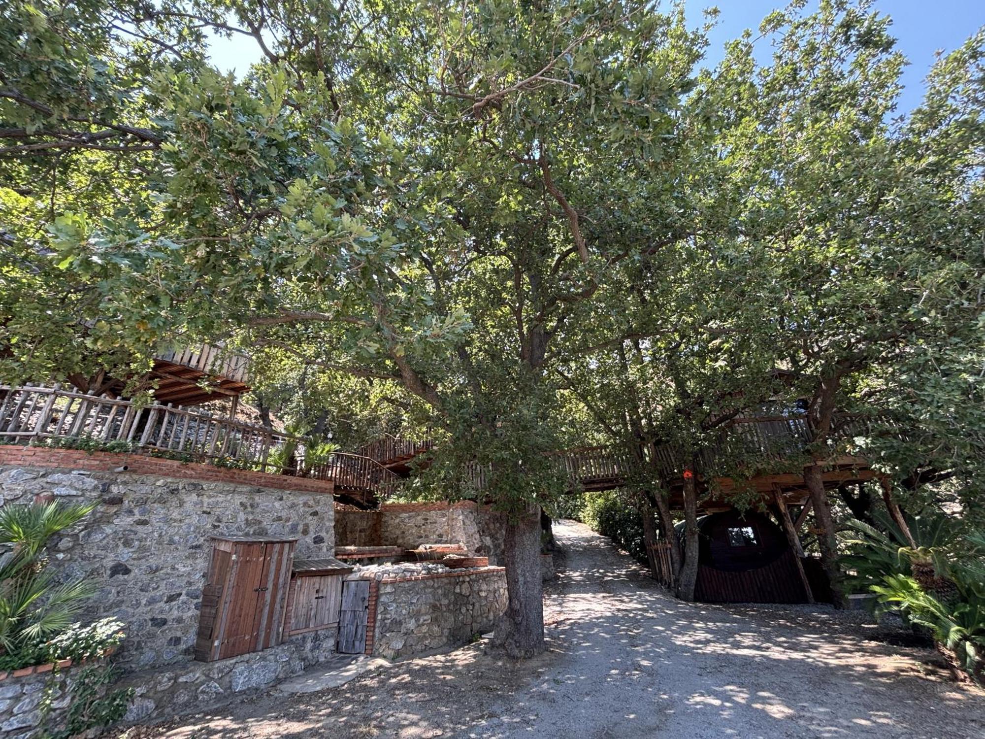 B & B Le Casette Sull'Albero Di Villa Alba Mesina Exterior foto